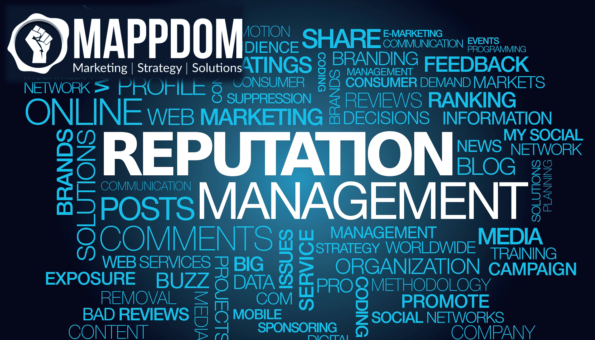Mappdom Marketing Agency Near Me Reputation Management